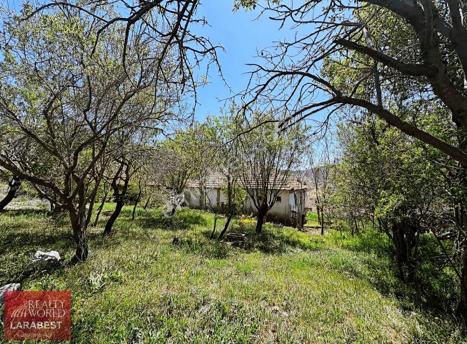 Rw Korkuteli Köseler Köyiçi 1.126m2 İmarlı Arsa Ve Müstakil Ev