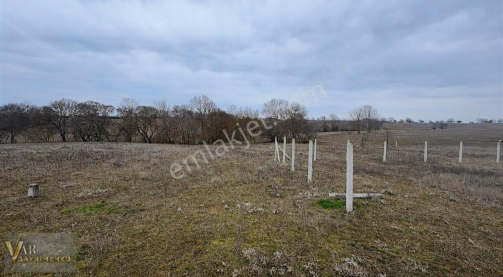 Tekirdağ Saray Büyükyoncalıda Tek Tapu 328 M2 Tarla