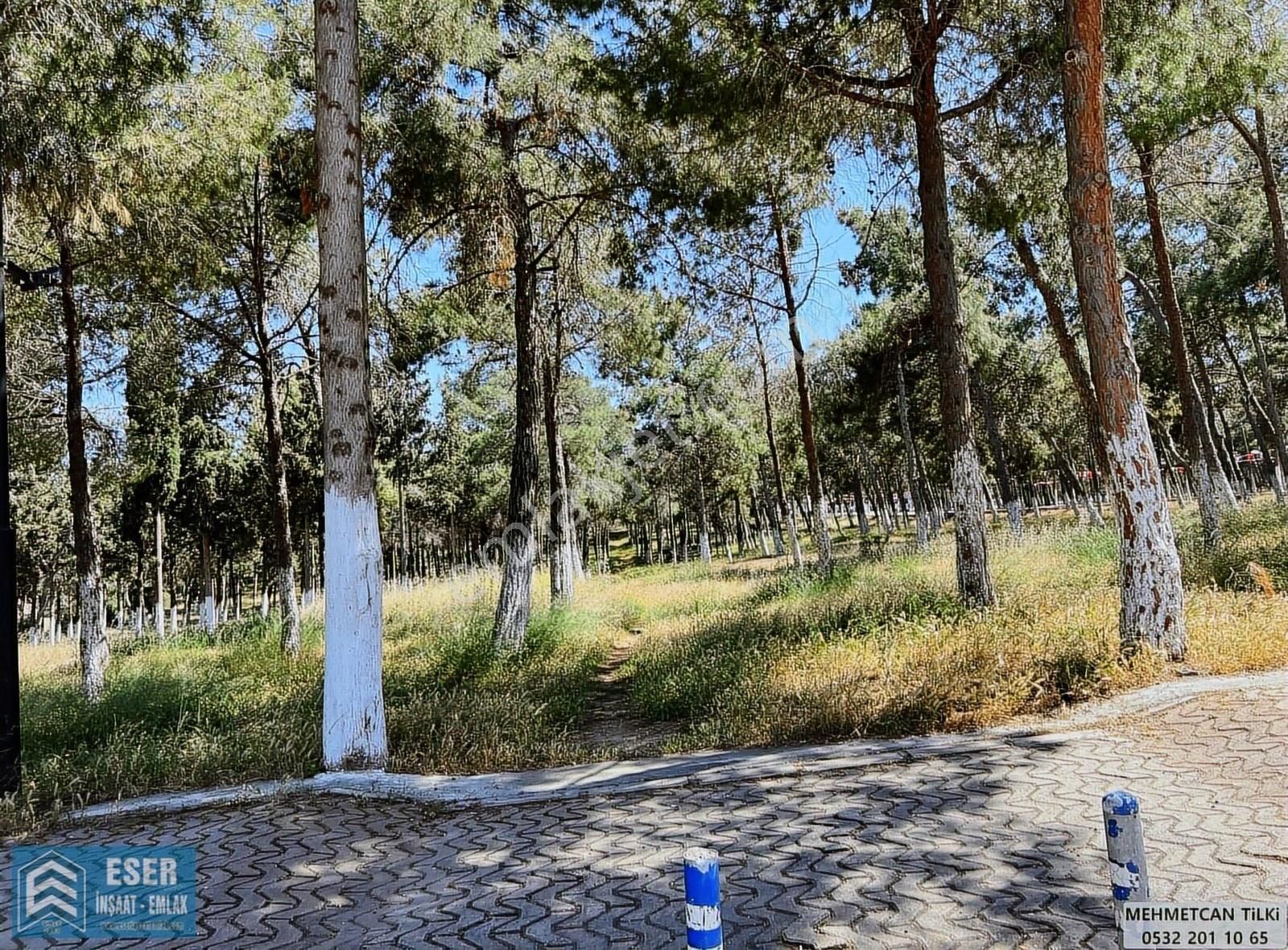 Çamlık Aytepede Satılık Sahile 300 Mt. Kelepir Fiyata 2+1 Daire