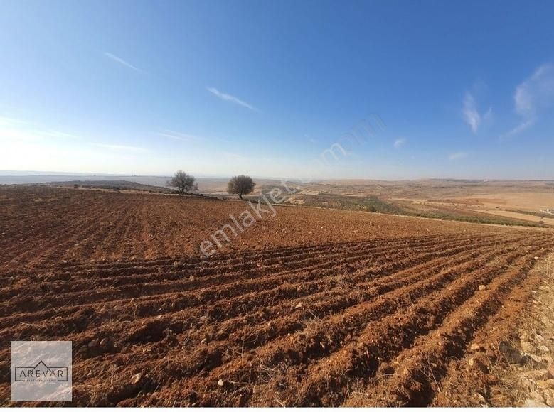 Coşkun İbili'den 17519 M Yolu Olan Zirvede Arazi