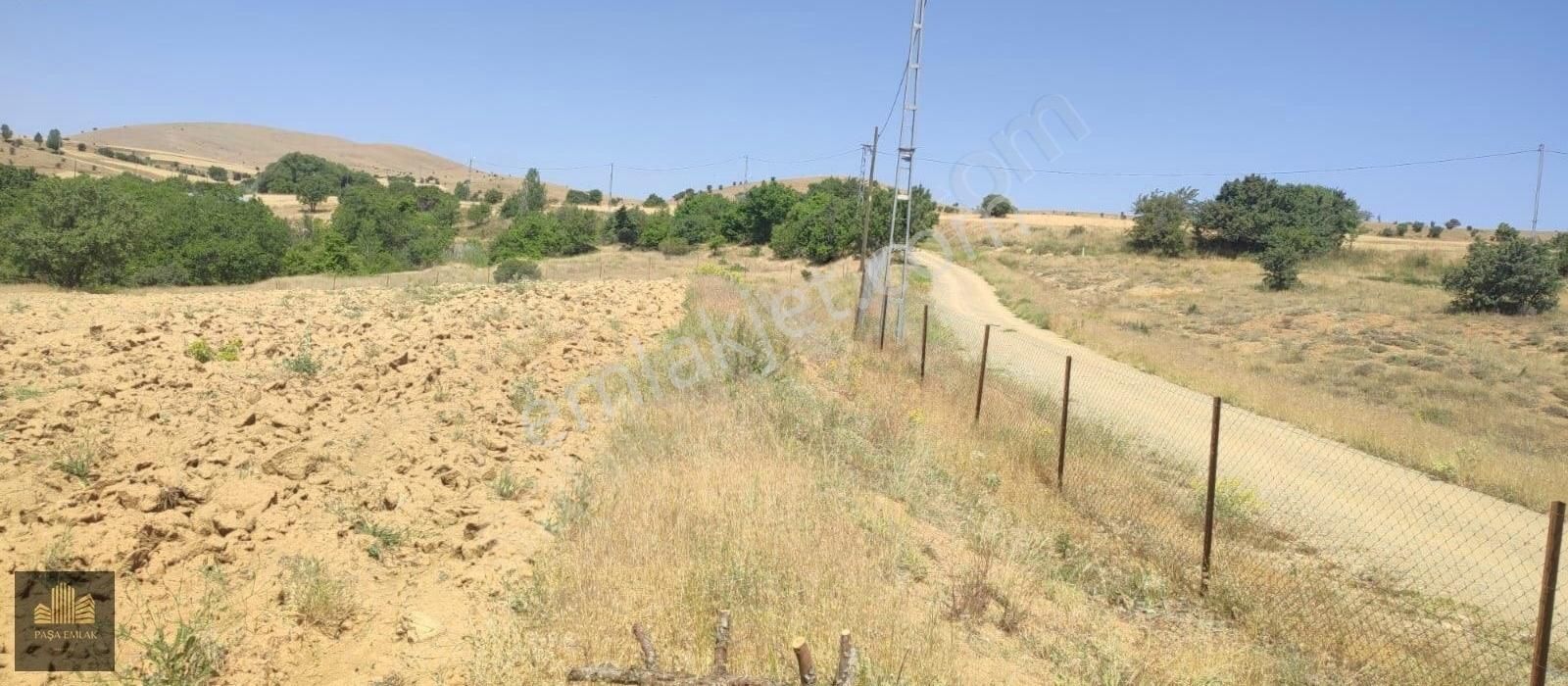 Üç Ağaç Köyünde Muhteşem Konumda Merkeze 30 Km Satılık Tarla