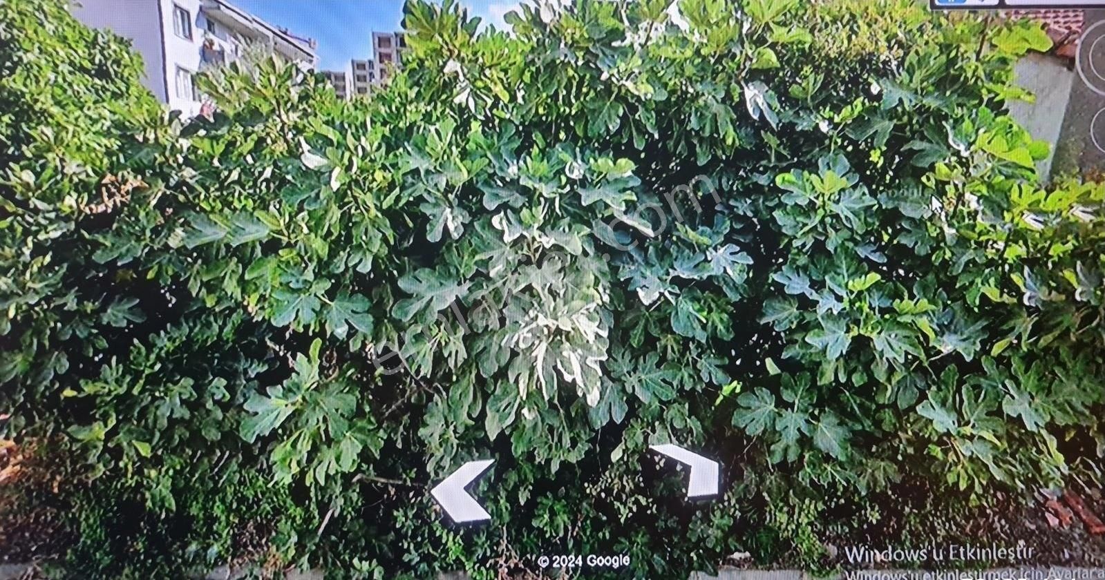 Bursa M.kemalpaşa Lalaşahin De Satılık 4 Kat İmarlı Arsa - Görsel 10