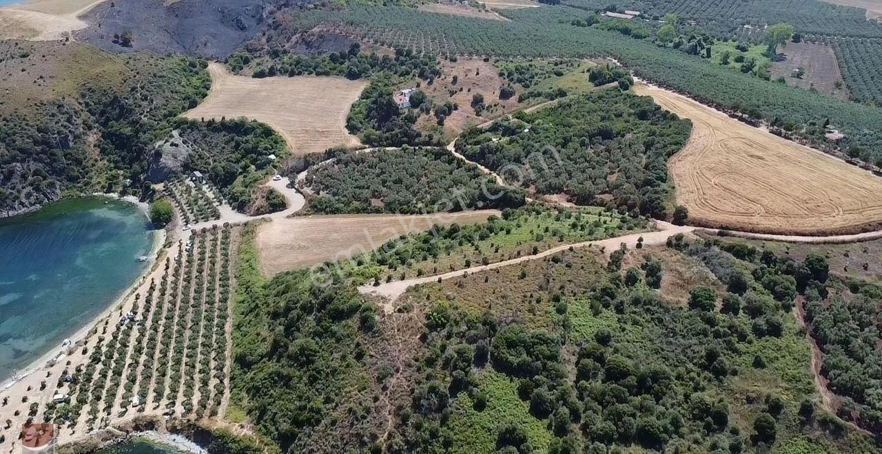 Bursa Mudanya Halilbey Ketendere De Satılık Çok Değerli Tarla - Görsel 2