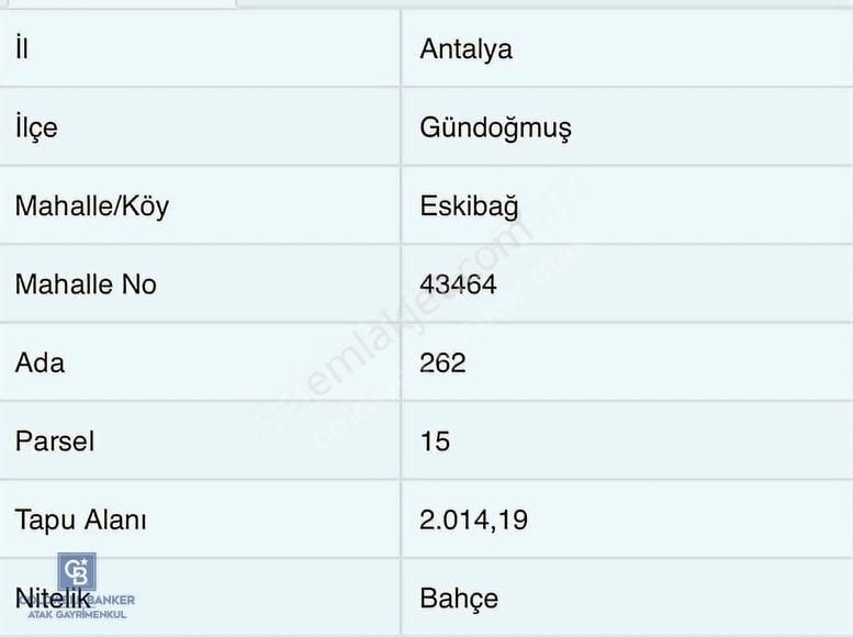 Antalya Gündoğmuşda Yerleşime 250 M Mesafede Bahçe