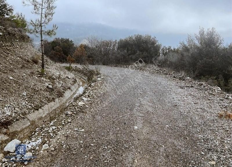 Acipayamda Fethiyeye Ve Selalelere Yakin İmarli Arsalar