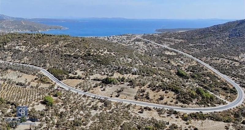Urla Balikliovada Karaburun Asfaltina 88 M Cephe Arazi