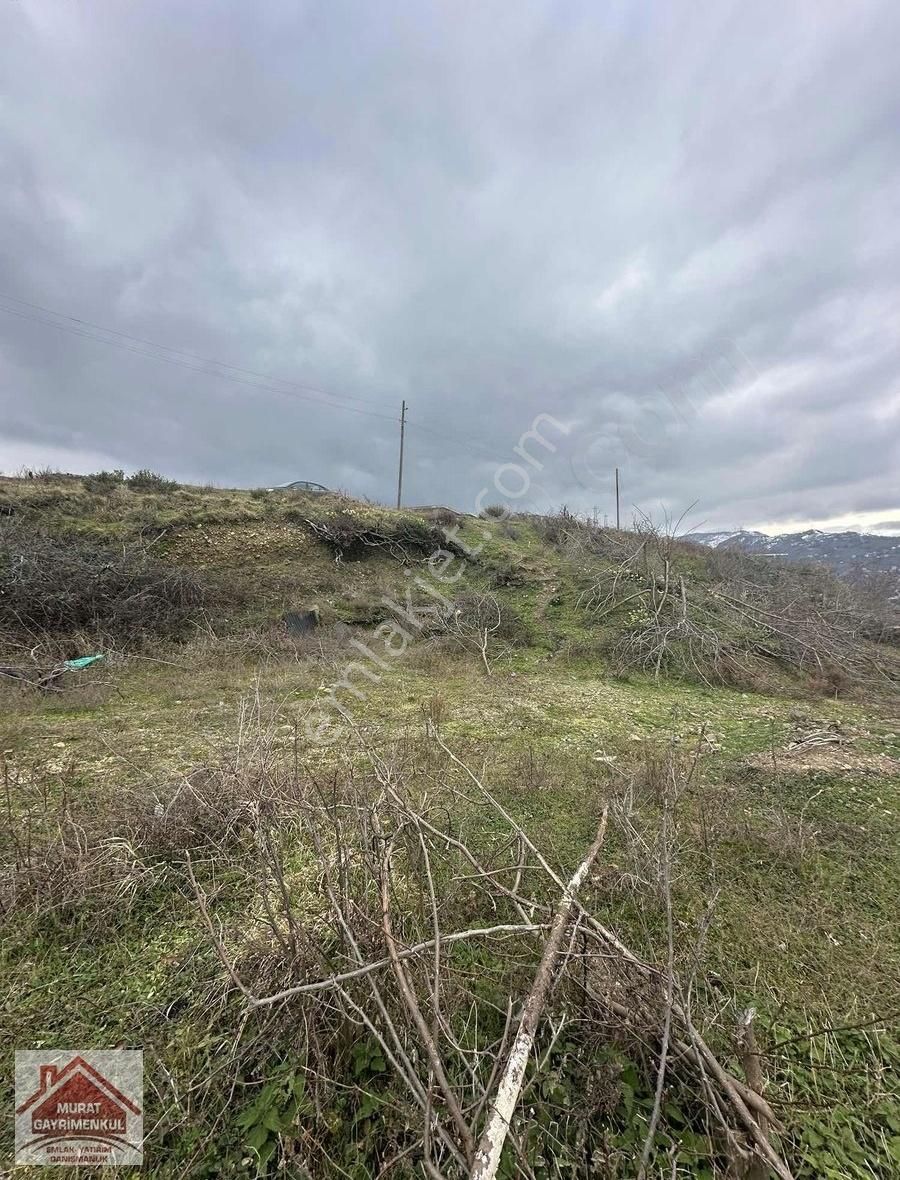 Akçaabat Darıca Mahallesinde Full Deniz Manzaralı Arazi