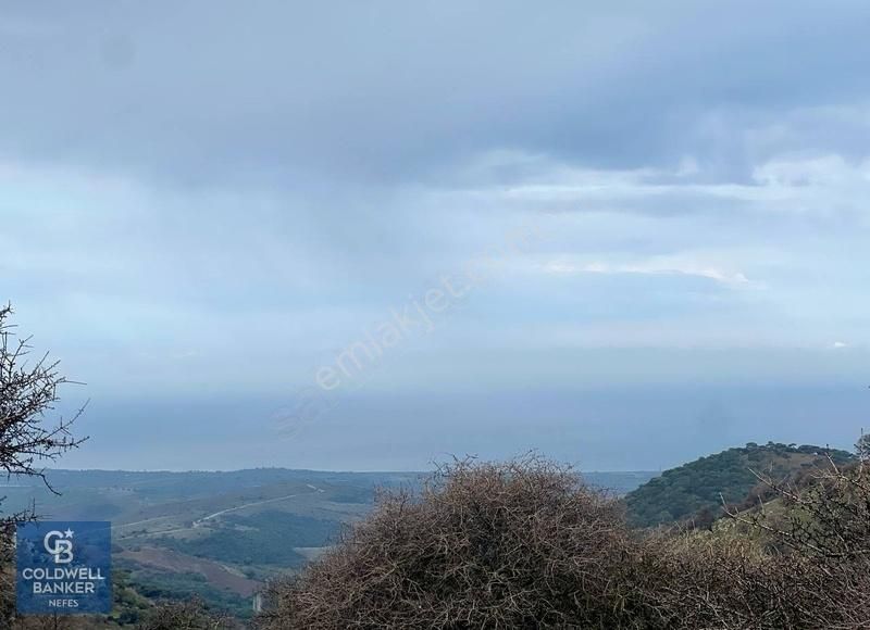 Ayvacık Kösedere Köyünde Satılık 16.045 M² Tarla