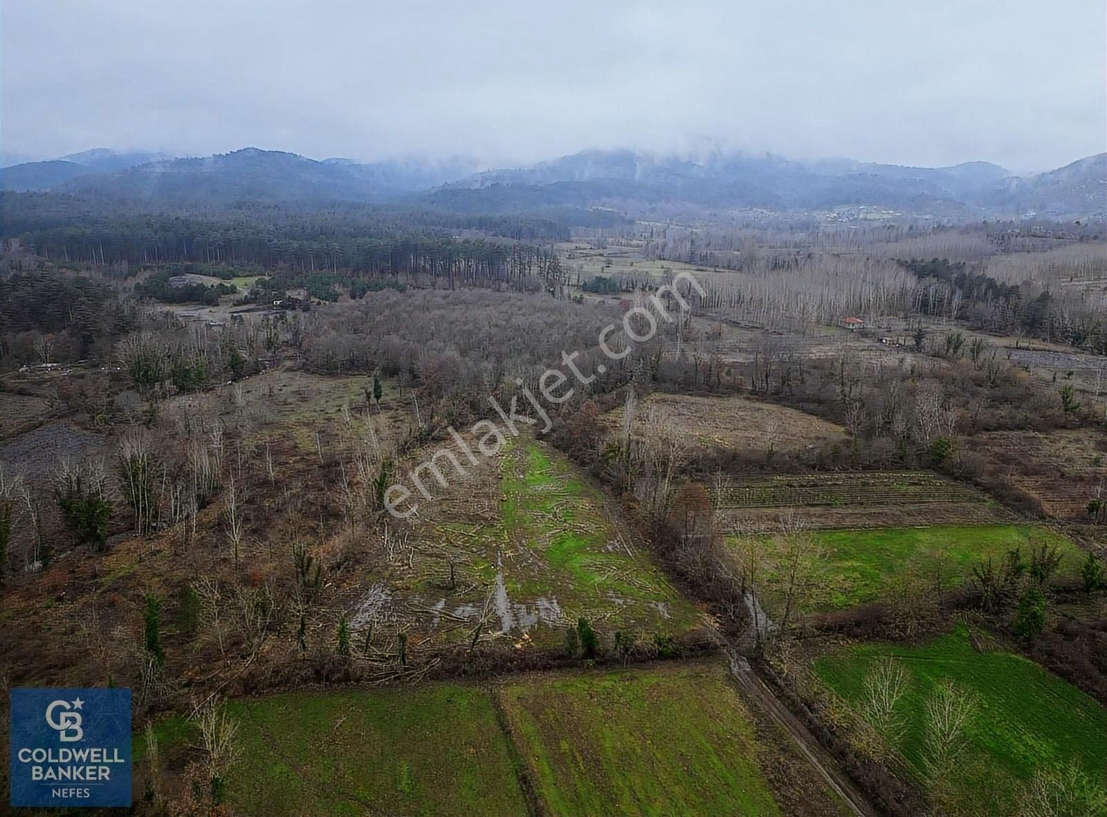 Çanakkale Yenice Örencik Köyünde 7663 M² Satılık Tarla !