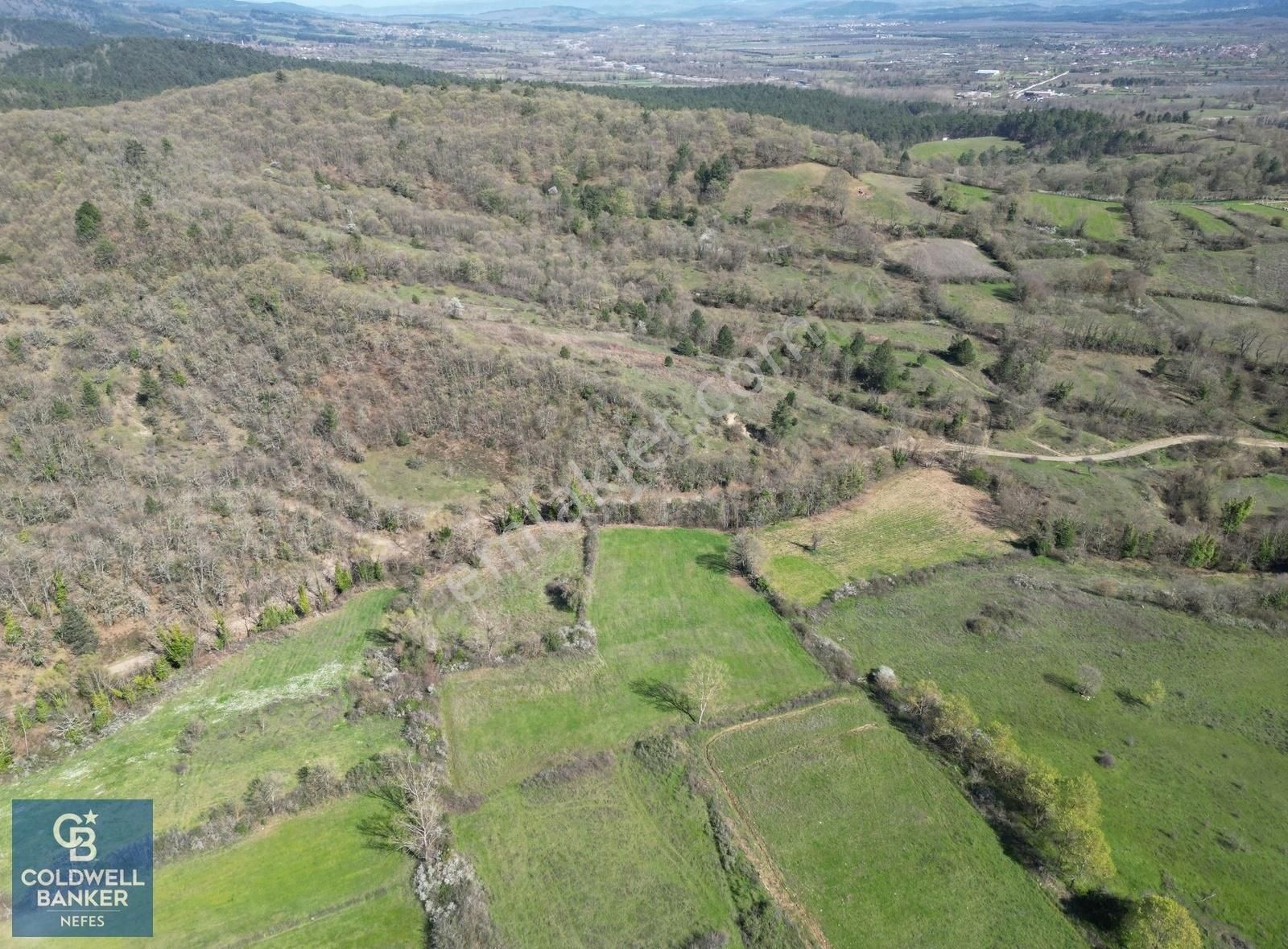 Çanakkale Yenice Örencik Köyünde 5276 M² Satılık Fırsat Tarla !