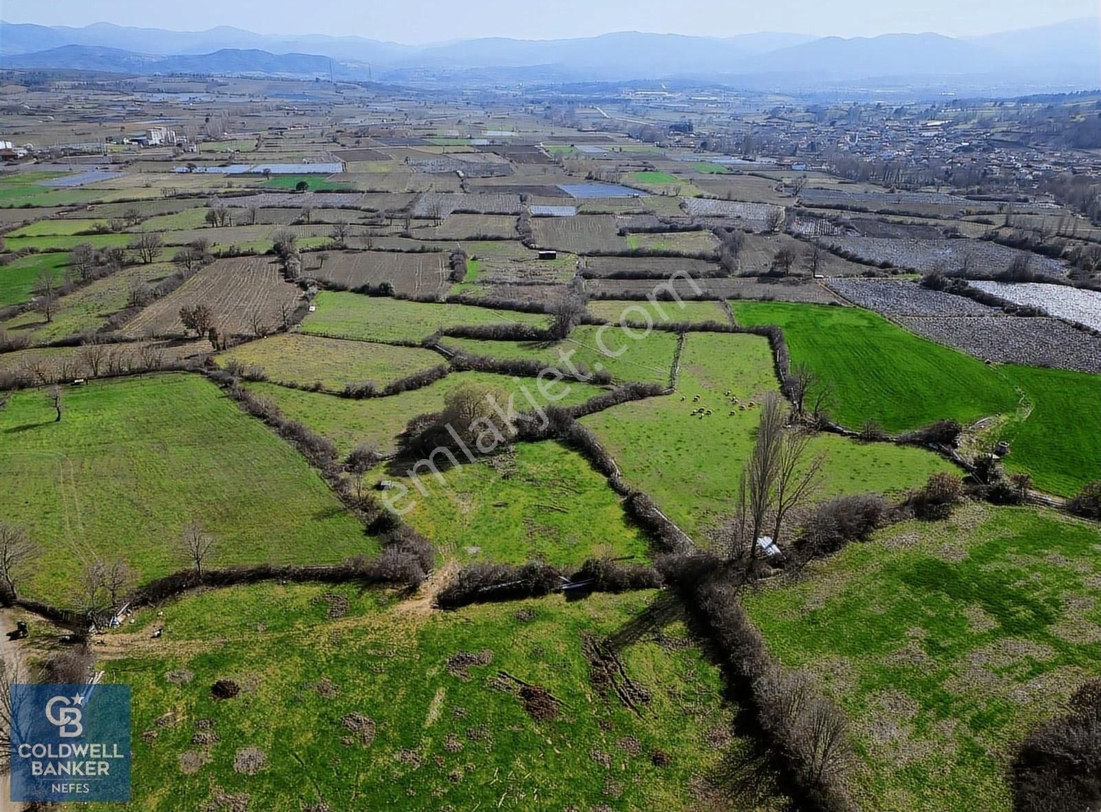 Çanakkale Yenice Hamdibey Köyünde 2090 M² Satılık Tarla !