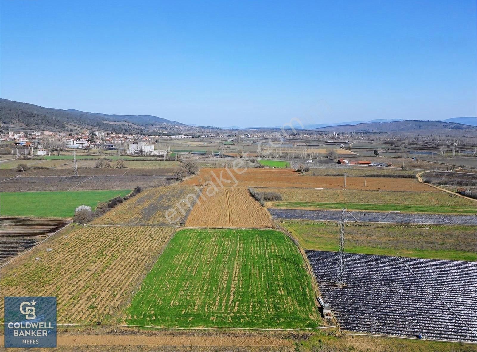 Çanakkale Yenice Hamdibey Köyünde 3008 M² Satılık Tarla !