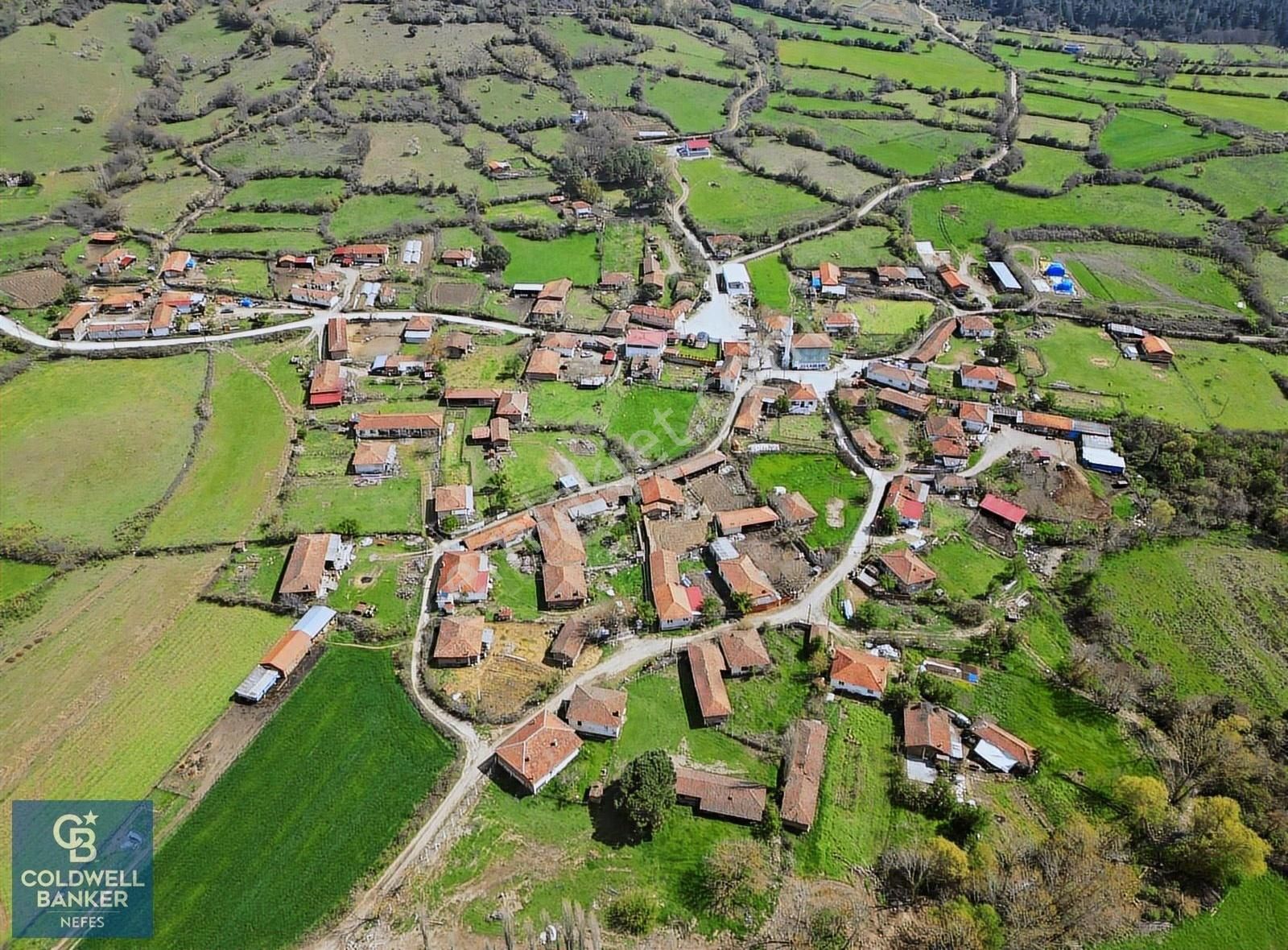 Çanakkale Yenice Kargacı Köyünde 1003 M² Satılık Arsa !