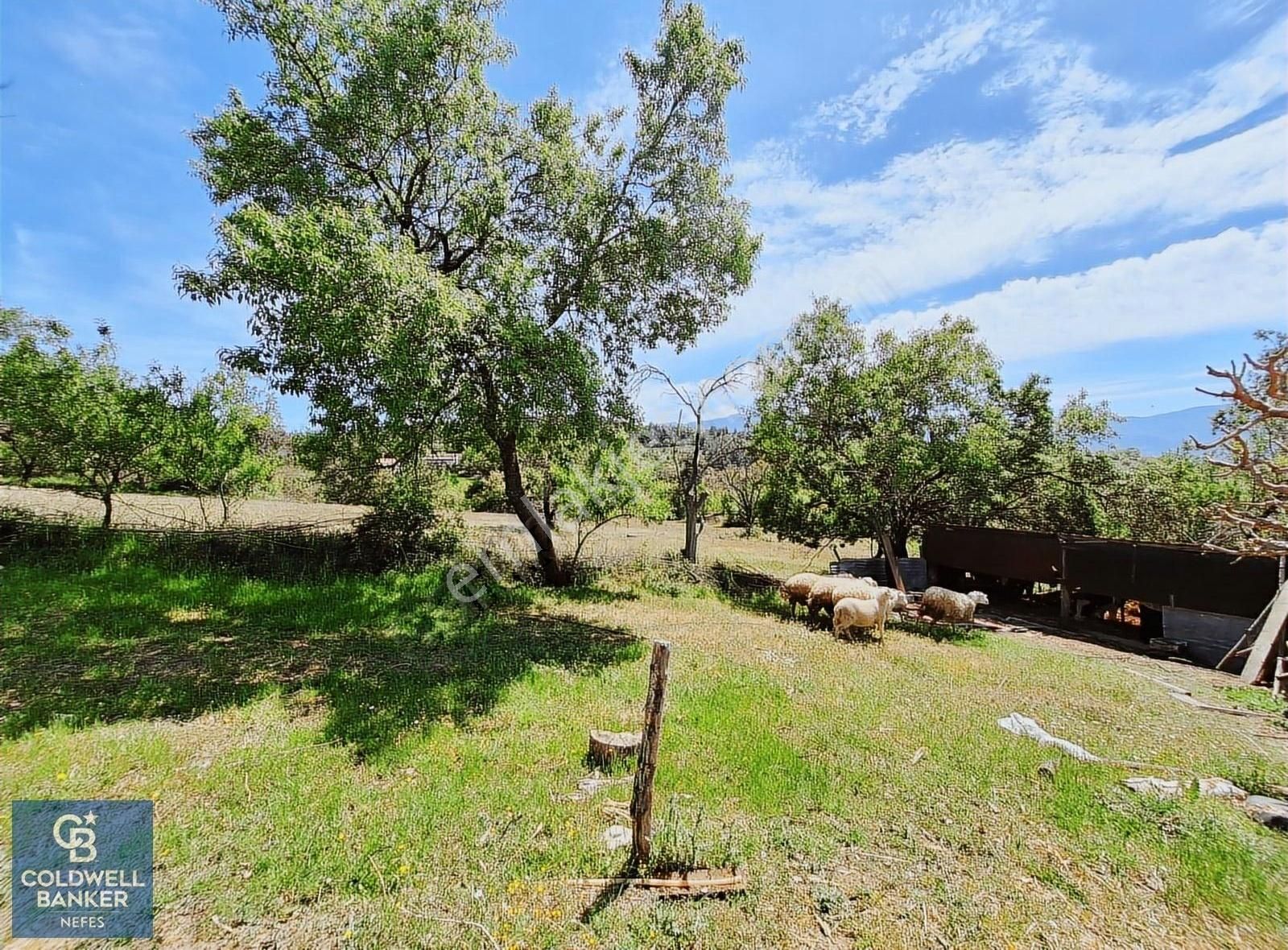 Çanakkale Bayramiç Külcüler Köyünde 487 M² Satılık Bağ