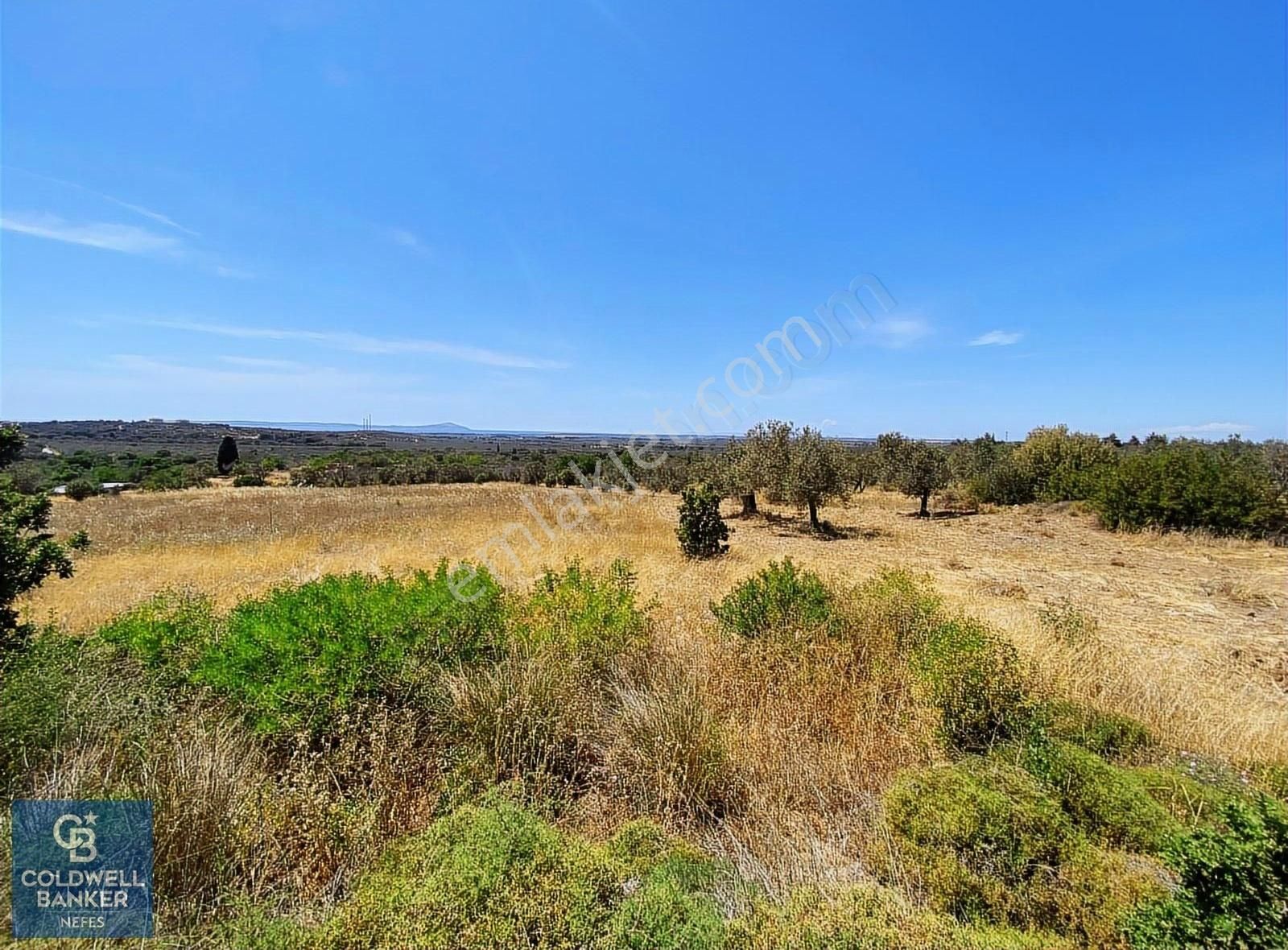 Çanakkale Geyiklide Bozcaada Manzaralı 5.339 M² Satılık Arsa