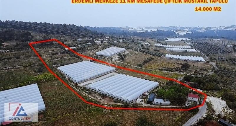14 Dönüm Müstakil Tapulu Kurulu Düzen Çiftlik