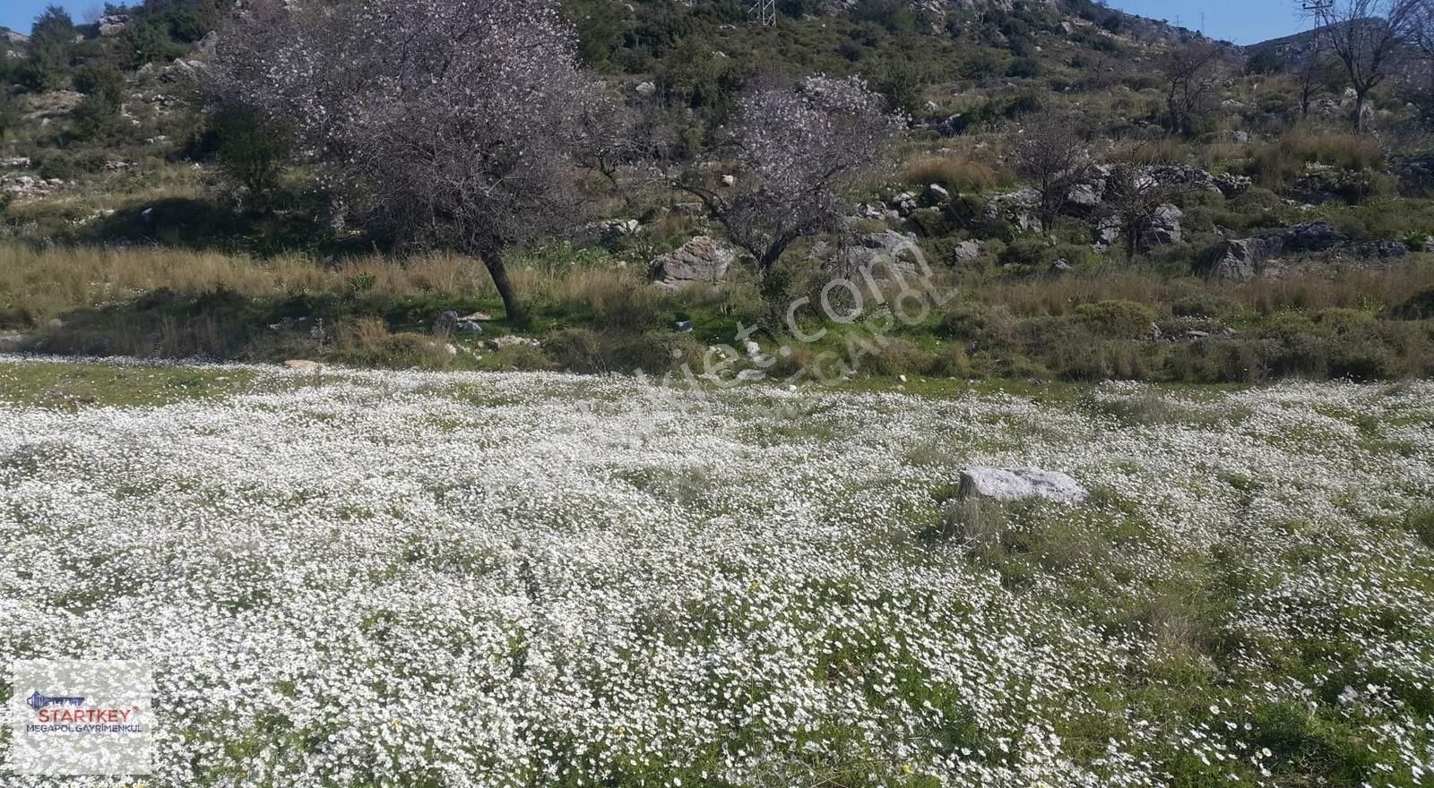 Marmaris Bozburun Yeşilova Yatırımlık İmar Sınırında Tarla