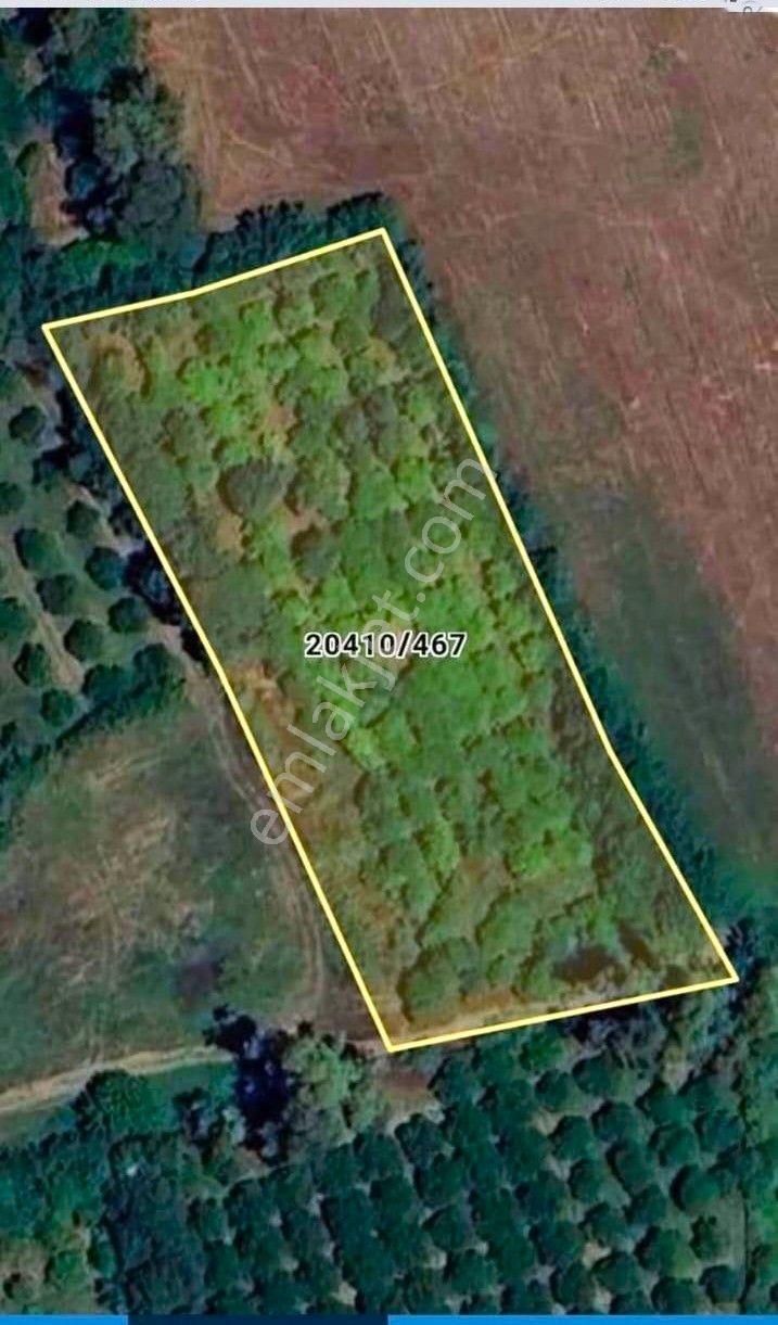 Acil Satılık ! Çakırlar Zümrüt Mahallesi 616 M2 Satılık Bahçe