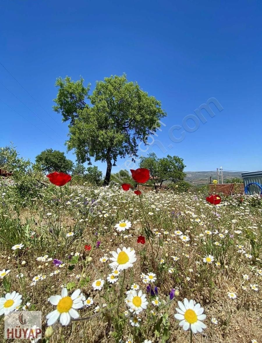Çanakkale Merkez Kızılcaörende Satılık Arsa - Görsel 6