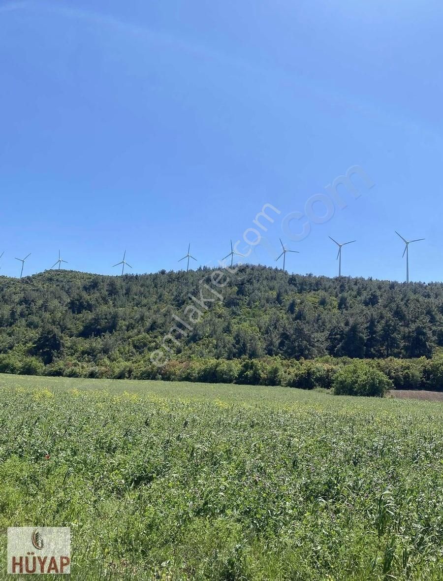 Çanakkale Merkez Çınarlıda 21 Dönüm Satılık Tarla