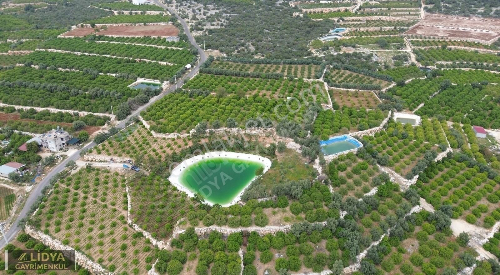 Tamamen Deniz Ve Şehir Manzaralı 1.023 M2 Tarla