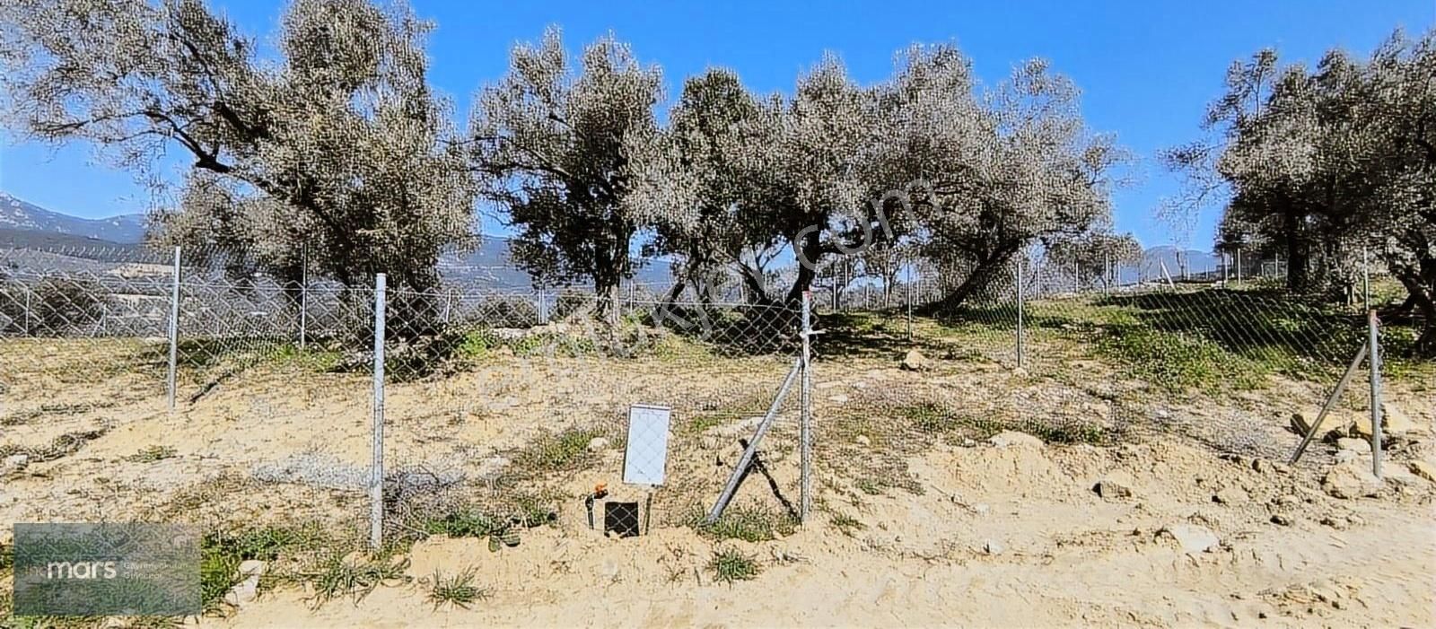 The Mars'tan Kemalpaşa Vişneli'de 3 Parsel Satılık Hobi Bahçesi