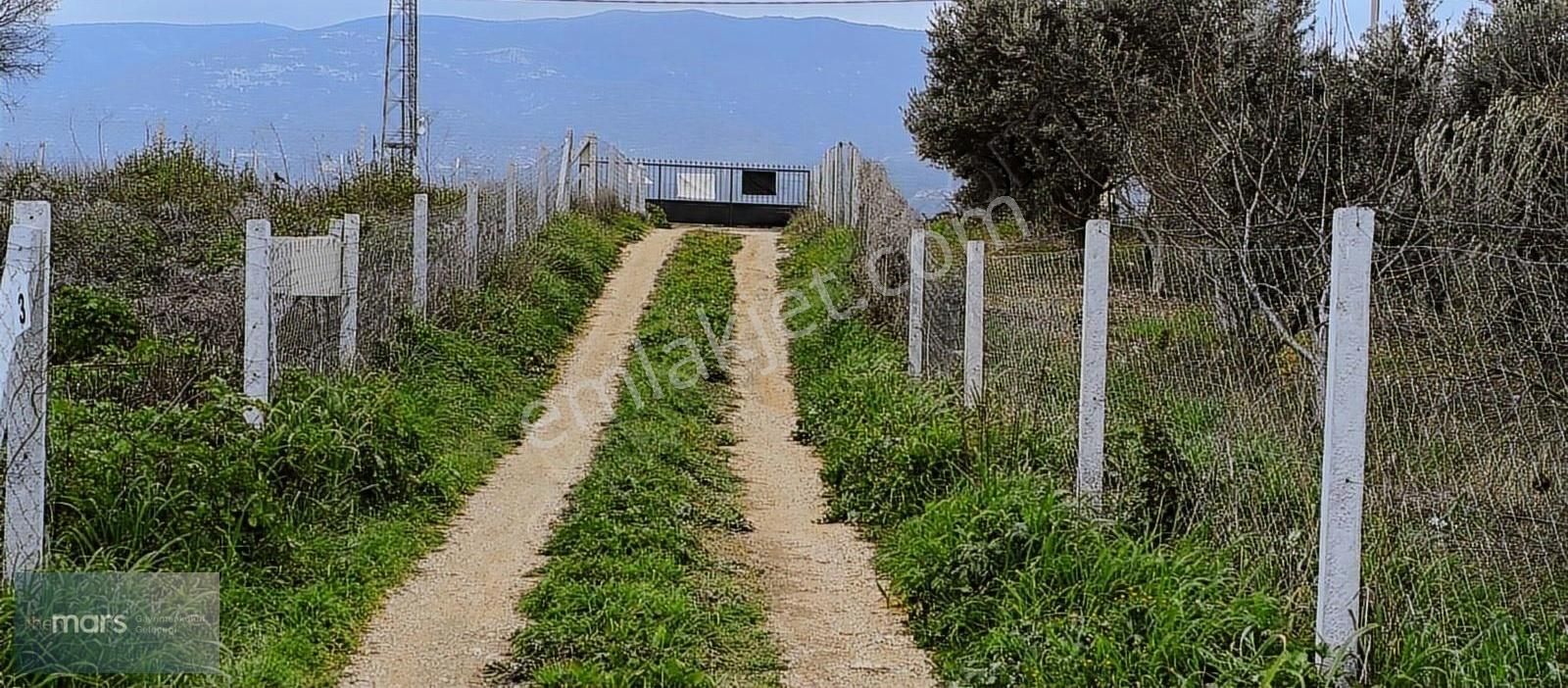 The Mars'tan K.paşa Ankara Asfaltına 200m Mesafede Satılık Bahçe