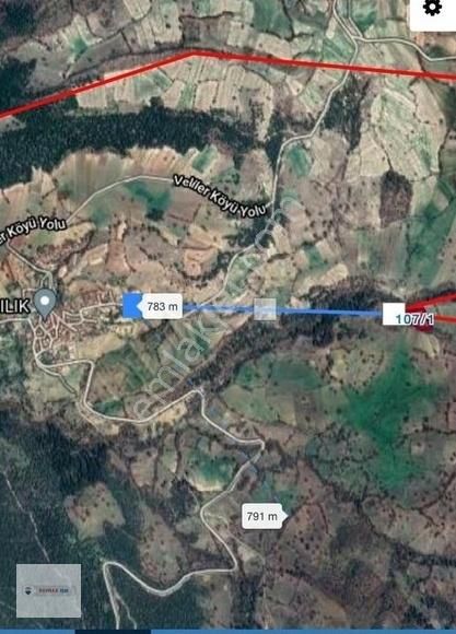Kaçmaz Fırsat Yola Cephe Orman Mazaralı Satılık Arsa