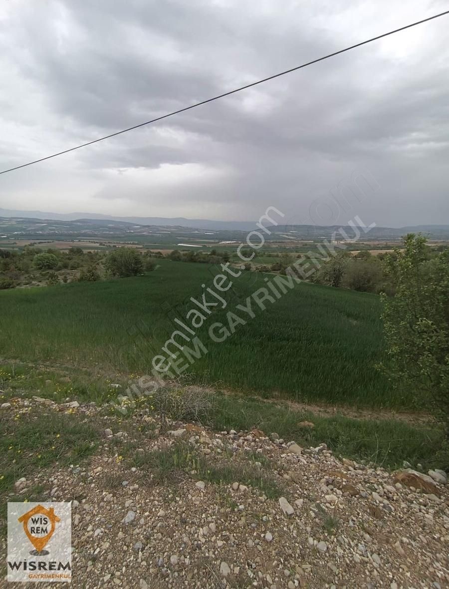 Bolu İli Göynük İlçesi Boyacılar Köyünde Yatırımlık Tarla