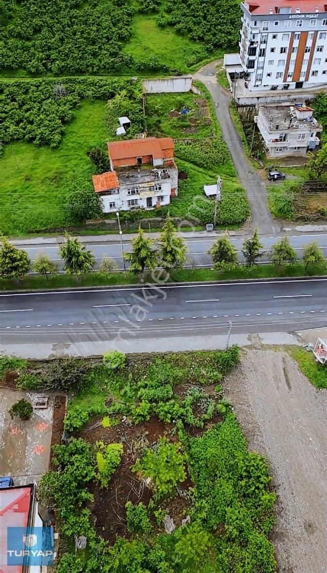 Ordu Turnasuyu Mahallesi Anayol Üzeri Kiralık Arsa