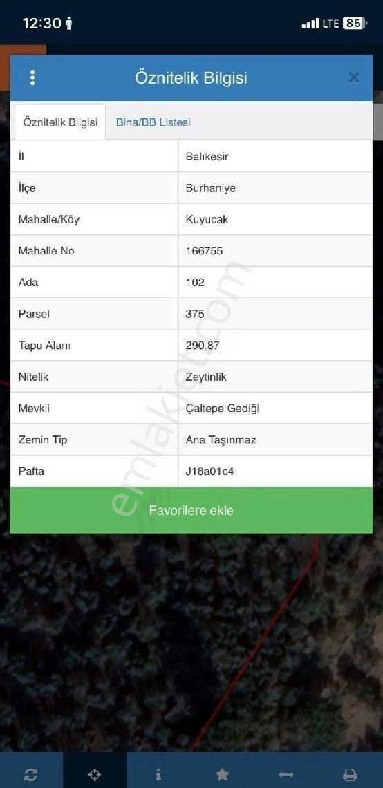 Burhaniye Kuyucak Mahallesi'nde Satılık Zeytinlik