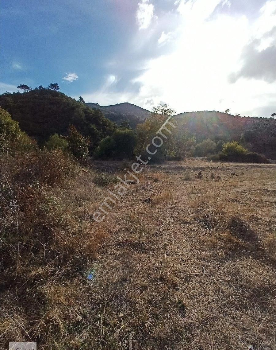 Burhaniye Karadere Yolunda Satılık Bahçe - Görsel 21