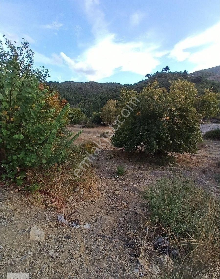 Burhaniye Karadere Yolunda Satılık Bahçe - Görsel 34