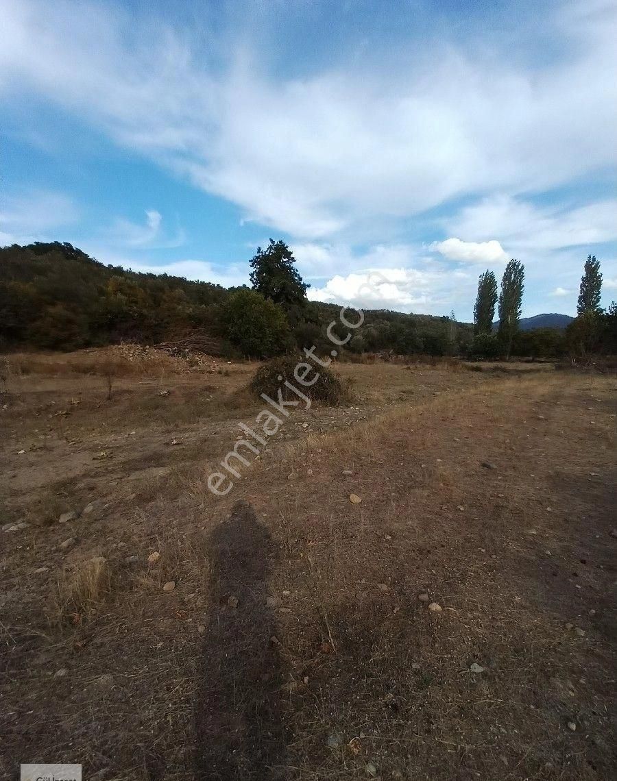 Burhaniye Karadere Yolunda Satılık Bahçe - Görsel 8