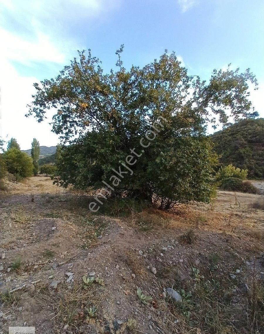Burhaniye Karadere Yolunda Satılık Bahçe - Görsel 17