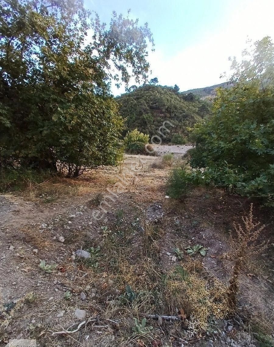 Burhaniye Karadere Yolunda Satılık Bahçe - Görsel 25