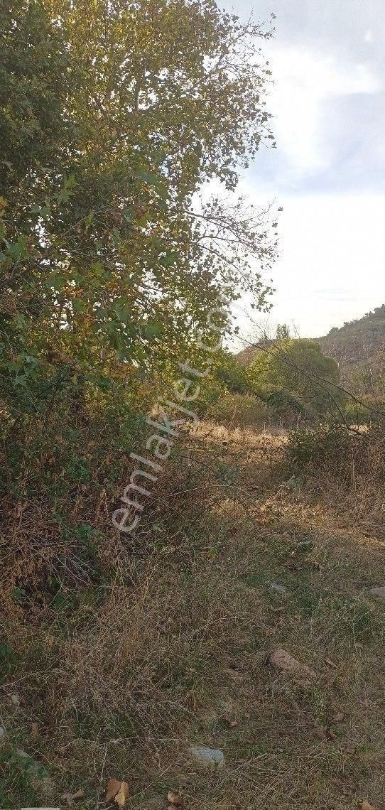 Burhaniye Karadere Yolunda Satılık Bahçe - Görsel 33