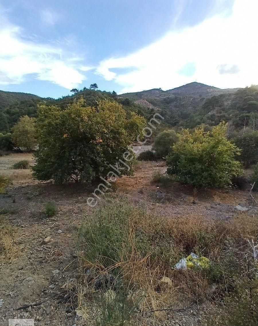 Burhaniye Karadere Yolunda Satılık Bahçe - Görsel 19