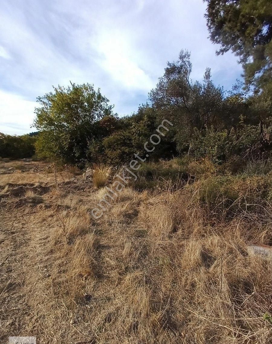 Burhaniye Karadere Yolunda Satılık Bahçe - Görsel 5