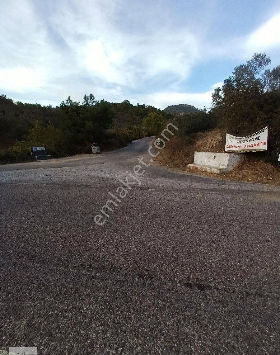 Burhaniye Karadere Yolunda Satılık Bahçe - Görsel 15