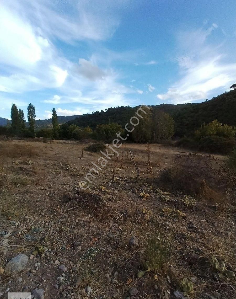 Burhaniye Karadere Yolunda Satılık Bahçe - Görsel 10