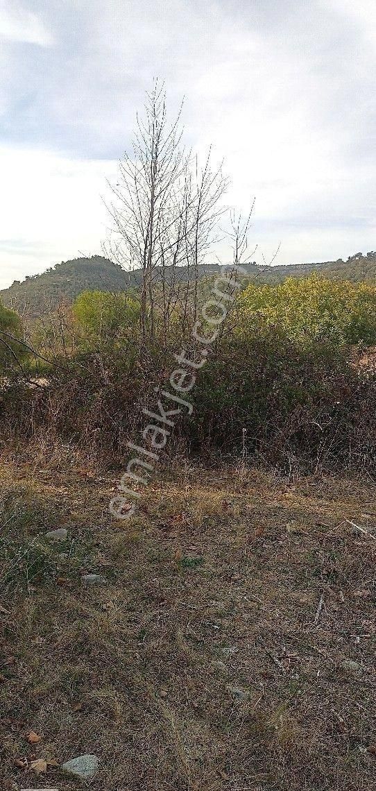 Burhaniye Karadere Yolunda Satılık Bahçe - Görsel 14