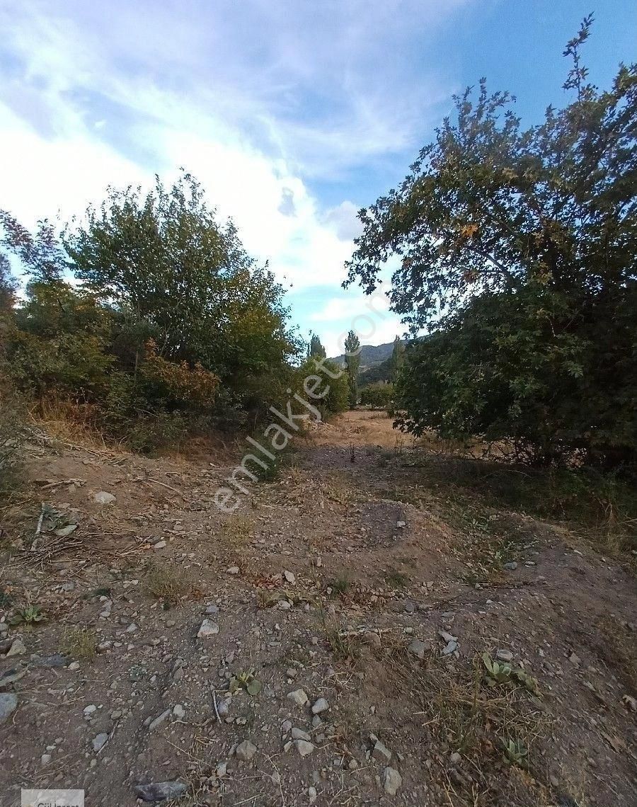 Burhaniye Karadere Yolunda Satılık Bahçe - Görsel 7