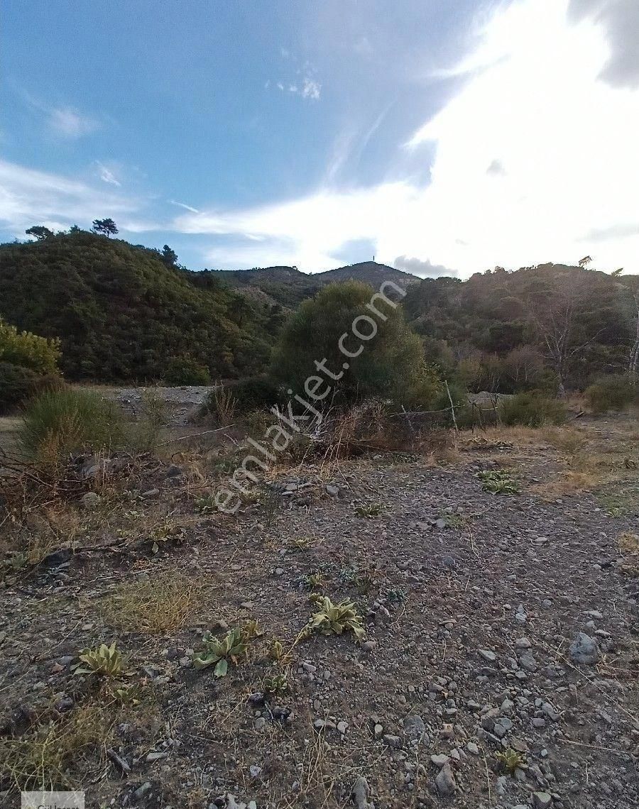 Burhaniye Karadere Yolunda Satılık Bahçe - Görsel 13