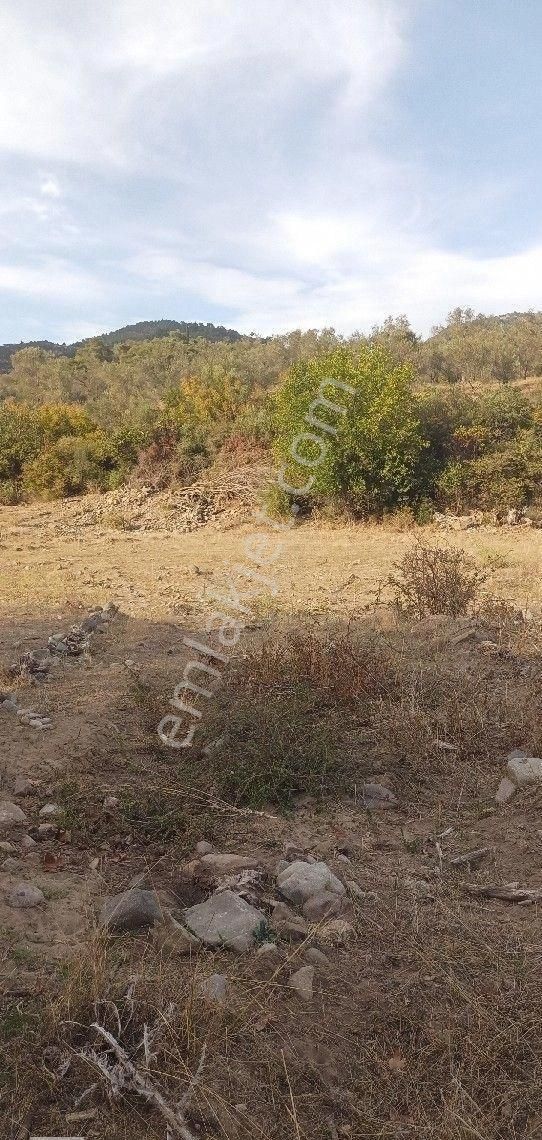 Burhaniye Karadere Yolunda Satılık Bahçe - Görsel 18