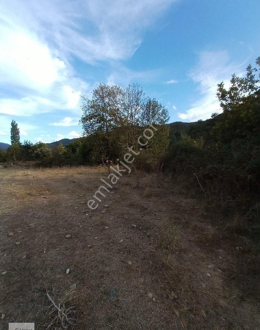Burhaniye Karadere Yolunda Satılık Bahçe - Görsel 22