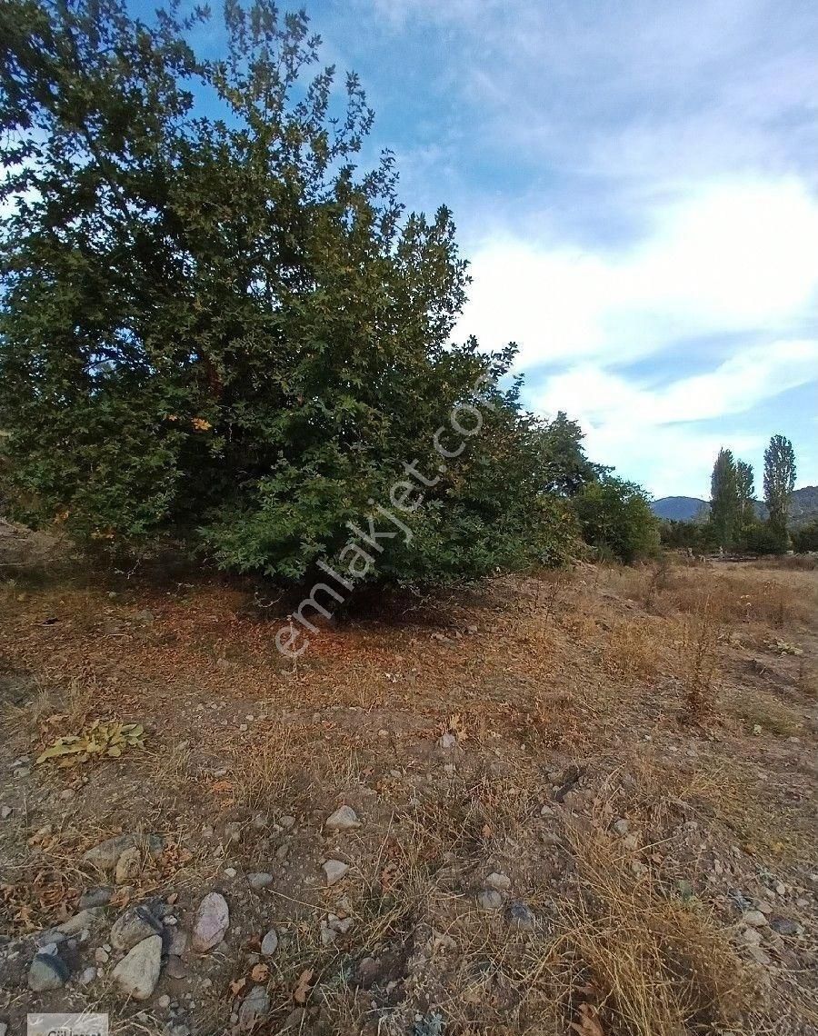 Burhaniye Karadere Yolunda Satılık Bahçe - Görsel 32