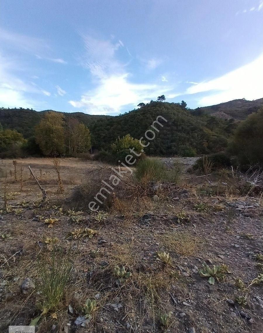 Burhaniye Karadere Yolunda Satılık Bahçe - Görsel 12