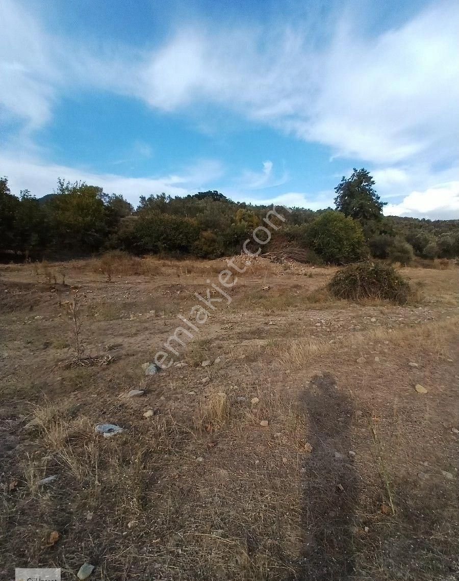 Burhaniye Karadere Yolunda Satılık Bahçe - Görsel 6