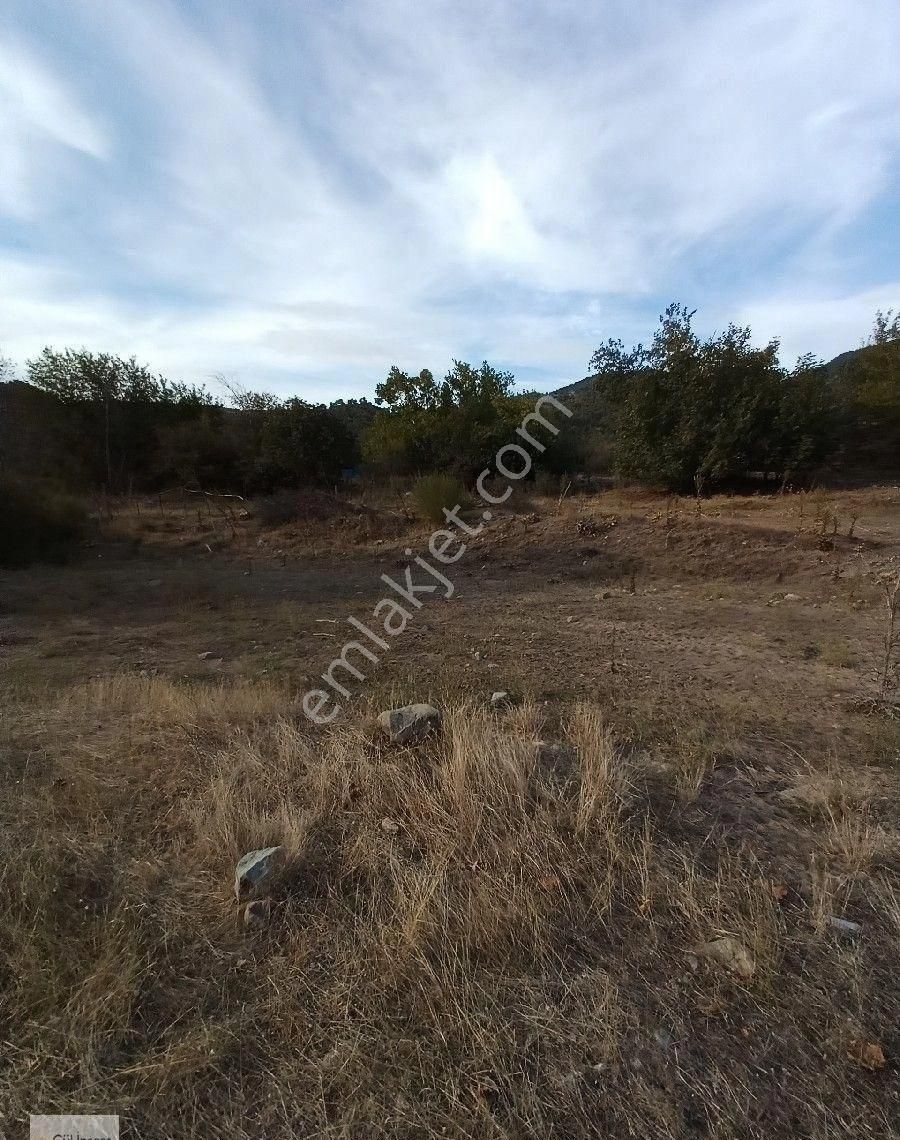 Burhaniye Karadere Yolunda Satılık Bahçe - Görsel 31